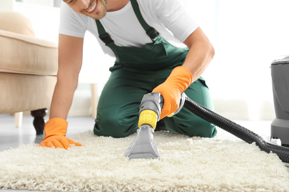 Carpet Cleaning Services