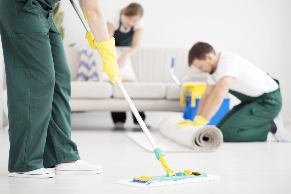 Carpet Cleaning Experts