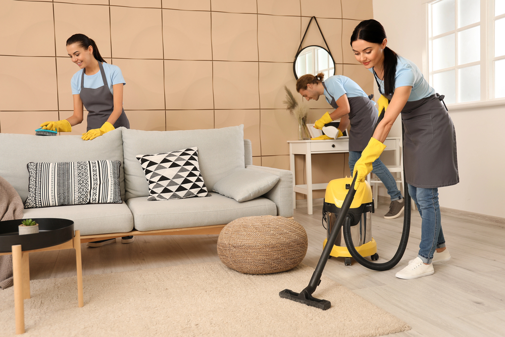 Area Rug Cleaning