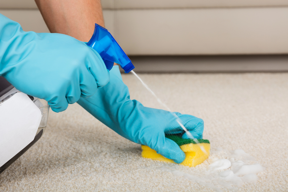 Stain & Odor Removal